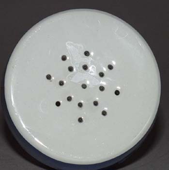 Shaker Top